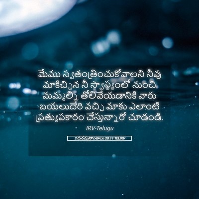 Picture 05 - 2 దినవృత్తాంతాలు 20:11 TELIRV - మేము - Bible Verse Picture