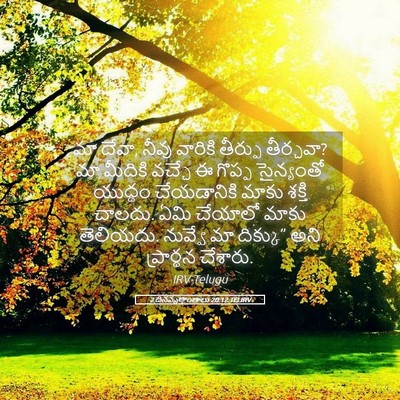 Picture 05 - 2 దినవృత్తాంతాలు 20:12 TELIRV - మా దేవా, నీవు - Bible Verse Picture