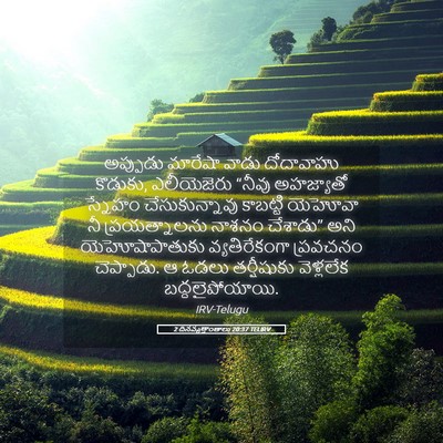 Picture 05 - 2 దినవృత్తాంతాలు 20:37 TELIRV - అప్పుడు మారేషా - Bible Verse Picture