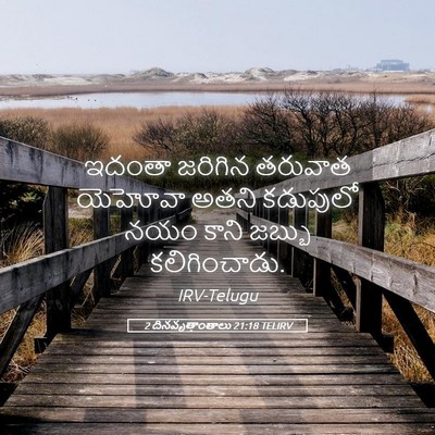 Picture 05 - 2 దినవృత్తాంతాలు 21:18 TELIRV - ఇదంతా జరిగిన - Bible Verse Picture