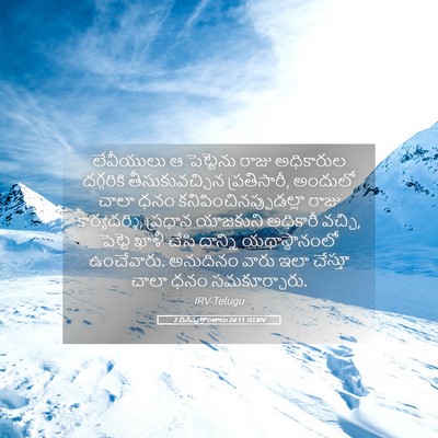 Picture 05 - 2 దినవృత్తాంతాలు 24:11 TELIRV - లేవీయులు ఆ - Bible Verse Picture