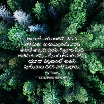 Picture 05 - 2 దినవృత్తాంతాలు 25:28 TELIRV - అయితే వారు అతని - Bible Verse Picture
