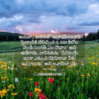 Picture 05 - 2 దినవృత్తాంతాలు 25:9 TELIRV - అమజ్యా అతనితో - Bible Verse Picture
