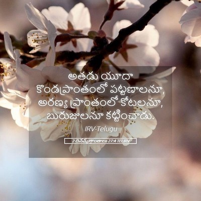 Picture 05 - 2 దినవృత్తాంతాలు 27:4 TELIRV - అతడు యూదా - Bible Verse Picture