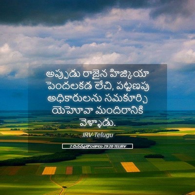 Picture 05 - 2 దినవృత్తాంతాలు 29:20 TELIRV - అప్పుడు రాజైన - Bible Verse Picture