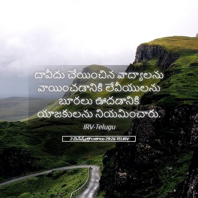 Picture 05 - 2 దినవృత్తాంతాలు 29:26 TELIRV - దావీదు చేయించిన - Bible Verse Picture