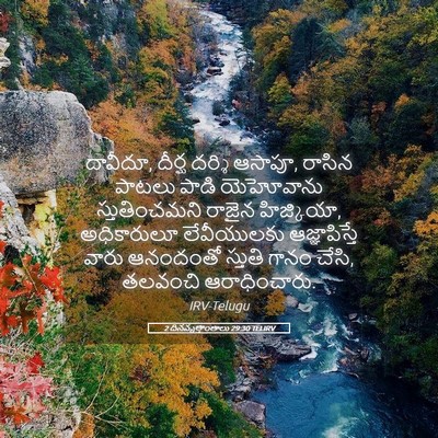 Picture 05 - 2 దినవృత్తాంతాలు 29:30 TELIRV - దావీదూ, దీర్ఘ - Bible Verse Picture