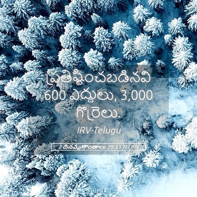 Picture 05 - 2 దినవృత్తాంతాలు 29:33 TELIRV -  - Bible Verse Picture