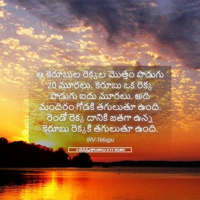 Picture 05 - 2 దినవృత్తాంతాలు 3:11 TELIRV - ఆ కెరూబుల రెక్కల - Bible Verse Picture