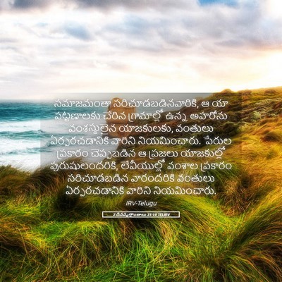 Picture 05 - 2 దినవృత్తాంతాలు 31:19 TELIRV - సమాజమంతా - Bible Verse Picture