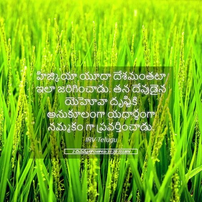 Picture 05 - 2 దినవృత్తాంతాలు 31:20 TELIRV - హిజ్కియా యూదా - Bible Verse Picture