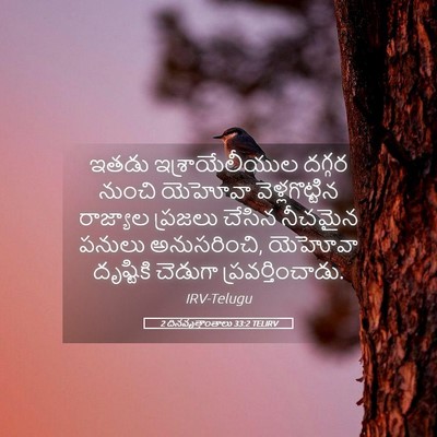 Picture 05 - 2 దినవృత్తాంతాలు 33:2 TELIRV - ఇతడు ఇశ్రాయేలీయుల - Bible Verse Picture