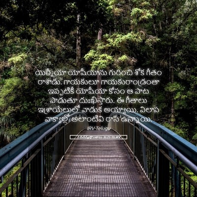 Picture 05 - 2 దినవృత్తాంతాలు 35:25 TELIRV - యిర్మీయా యోషీయాను - Bible Verse Picture