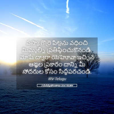Picture 05 - 2 దినవృత్తాంతాలు 35:6 TELIRV - పస్కా గొర్రె - Bible Verse Picture