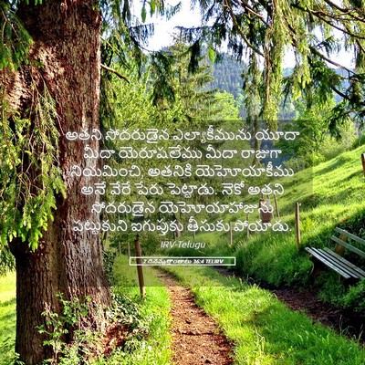 Picture 05 - 2 దినవృత్తాంతాలు 36:4 TELIRV - అతని సోదరుడైన - Bible Verse Picture