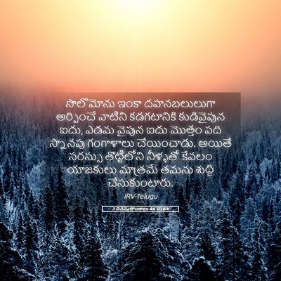 Picture 05 - 2 దినవృత్తాంతాలు 4:6 TELIRV - సొలొమోను ఇంకా - Bible Verse Picture