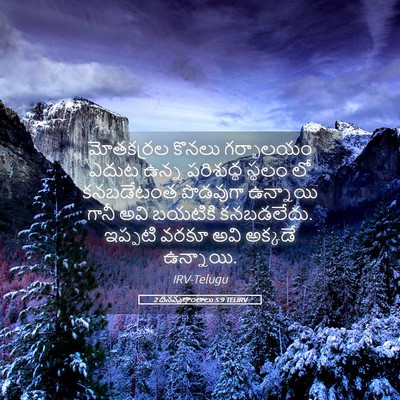 Picture 05 - 2 దినవృత్తాంతాలు 5:9 TELIRV - మోతకర్రల కొనలు - Bible Verse Picture