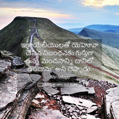 Picture 05 - 2 దినవృత్తాంతాలు 6:11 TELIRV - ఇశ్రాయేలీయులతో - Bible Verse Picture