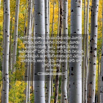 Picture 05 - 2 దినవృత్తాంతాలు 6:13 TELIRV - సొలొమోను తాను - Bible Verse Picture