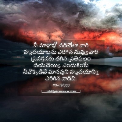 Picture 05 - 2 దినవృత్తాంతాలు 6:31 TELIRV - నీ మార్గాల్లో - Bible Verse Picture