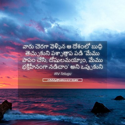Picture 05 - 2 దినవృత్తాంతాలు 6:37 TELIRV - వారు చెరగా - Bible Verse Picture