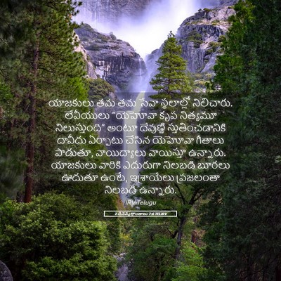 Picture 05 - 2 దినవృత్తాంతాలు 7:6 TELIRV - యాజకులు తమ తమ సేవా - Bible Verse Picture