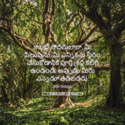 Picture 05 - 2 పేతురు పత్రిక 1:10 TELIRV - కాబట్టి - Bible Verse Picture