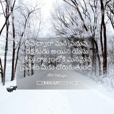 Picture 05 - 2 పేతురు పత్రిక 1:11 TELIRV - దీని ద్వారా మన - Bible Verse Picture