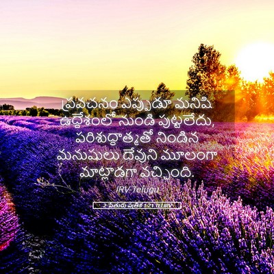 Picture 05 - 2 పేతురు పత్రిక 1:21 TELIRV - ప్రవచనం ఎప్పుడూ - Bible Verse Picture