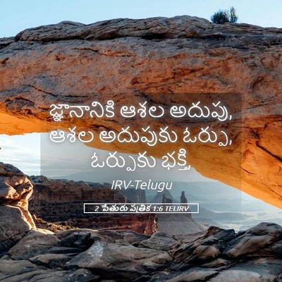 Picture 05 - 2 పేతురు పత్రిక 1:6 TELIRV - జ్ఞానానికి ఆశల - Bible Verse Picture