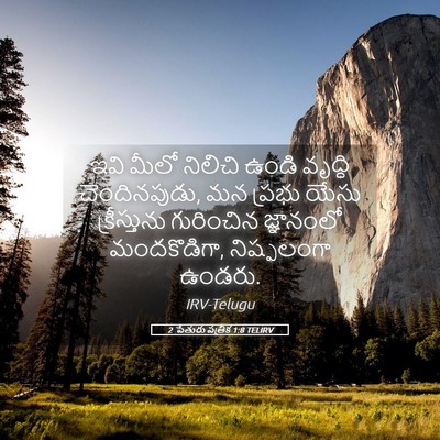 Picture 05 - 2 పేతురు పత్రిక 1:8 TELIRV - ఇవి మీలో నిలిచి - Bible Verse Picture