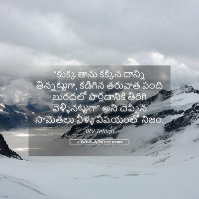 Picture 05 - 2 పేతురు పత్రిక 2:22 TELIRV - “కుక్క తాను - Bible Verse Picture