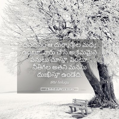 Picture 05 - 2 పేతురు పత్రిక 2:8 TELIRV - దినదినం ఆ - Bible Verse Picture