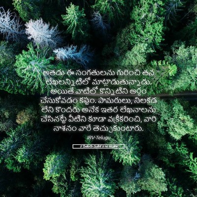 Picture 05 - 2 పేతురు పత్రిక 3:16 TELIRV - అతడు ఈ సంగతులను - Bible Verse Picture