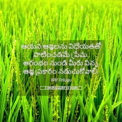 Picture 05 - 2 యోహాను పత్రిక 1:6 TELIRV - ఆయన ఆజ్ఞలను - Bible Verse Picture