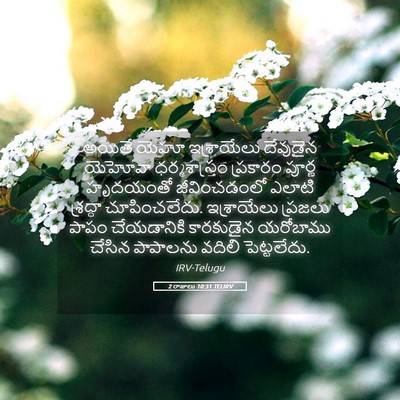 Picture 05 - 2 రాజులు 10:31 TELIRV - అయితే యెహూ - Bible Verse Picture