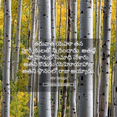 Picture 05 - 2 రాజులు 10:35 TELIRV - తరువాత యెహూ తన - Bible Verse Picture