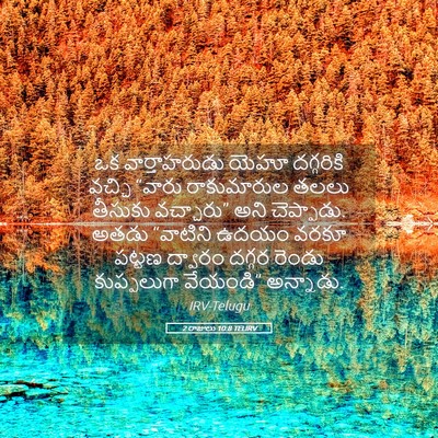 Picture 05 - 2 రాజులు 10:8 TELIRV - ఒక వార్తాహరుడు - Bible Verse Picture