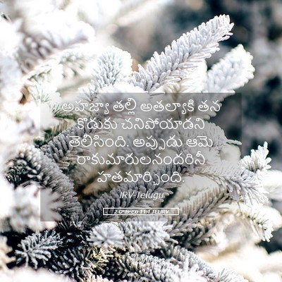 Picture 05 - 2 రాజులు 11:1 TELIRV - అహజ్యా తల్లి - Bible Verse Picture