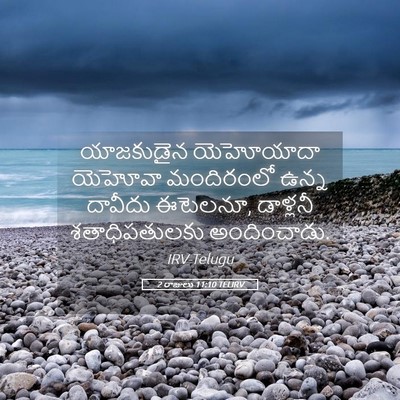 Picture 05 - 2 రాజులు 11:10 TELIRV - యాజకుడైన యెహోయాదా - Bible Verse Picture