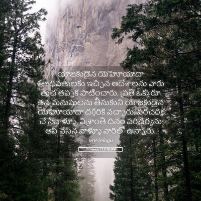 Picture 05 - 2 రాజులు 11:9 TELIRV - యాజకుడైన యెహోయాదా - Bible Verse Picture