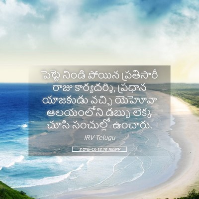 Picture 05 - 2 రాజులు 12:10 TELIRV - పెట్టె నిండి - Bible Verse Picture