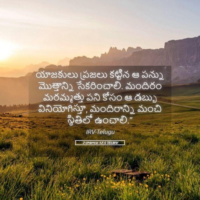 Picture 05 - 2 రాజులు 12:5 TELIRV - యాజకులు ప్రజలు - Bible Verse Picture