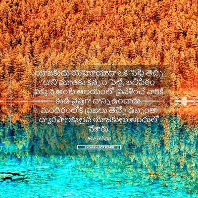 Picture 05 - 2 రాజులు 12:9 TELIRV - యాజకుడు యెహోయాదా - Bible Verse Picture