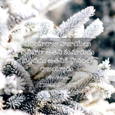 Picture 05 - 2 రాజులు 13:24 TELIRV - సిరియారాజు - Bible Verse Picture