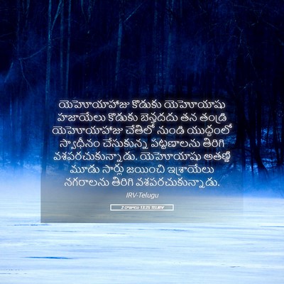 Picture 05 - 2 రాజులు 13:25 TELIRV - యెహోయాహాజు కొడుకు - Bible Verse Picture