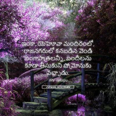 Picture 05 - 2 రాజులు 14:14 TELIRV - ఇంకా, యెహోవా - Bible Verse Picture
