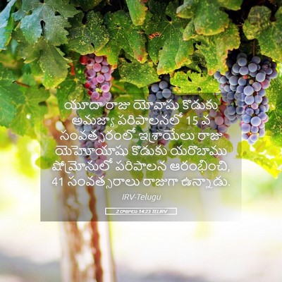 Picture 05 - 2 రాజులు 14:23 TELIRV - యూదా రాజు యోవాషు - Bible Verse Picture