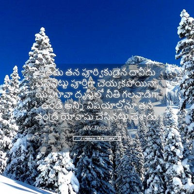 Picture 05 - 2 రాజులు 14:3 TELIRV - ఇతడు తన - Bible Verse Picture