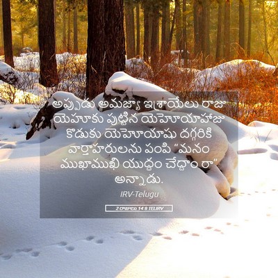 Picture 05 - 2 రాజులు 14:8 TELIRV - అప్పుడు అమజ్యా - Bible Verse Picture